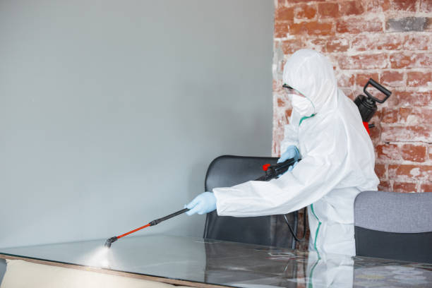 Forensic Mold Investigation in Ashford, AL